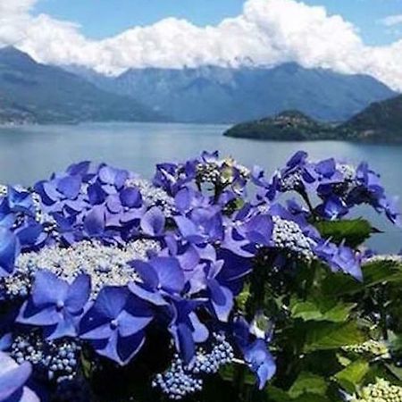 Agriturismo Piccolo Paradiso Pianello Del Lario Luaran gambar