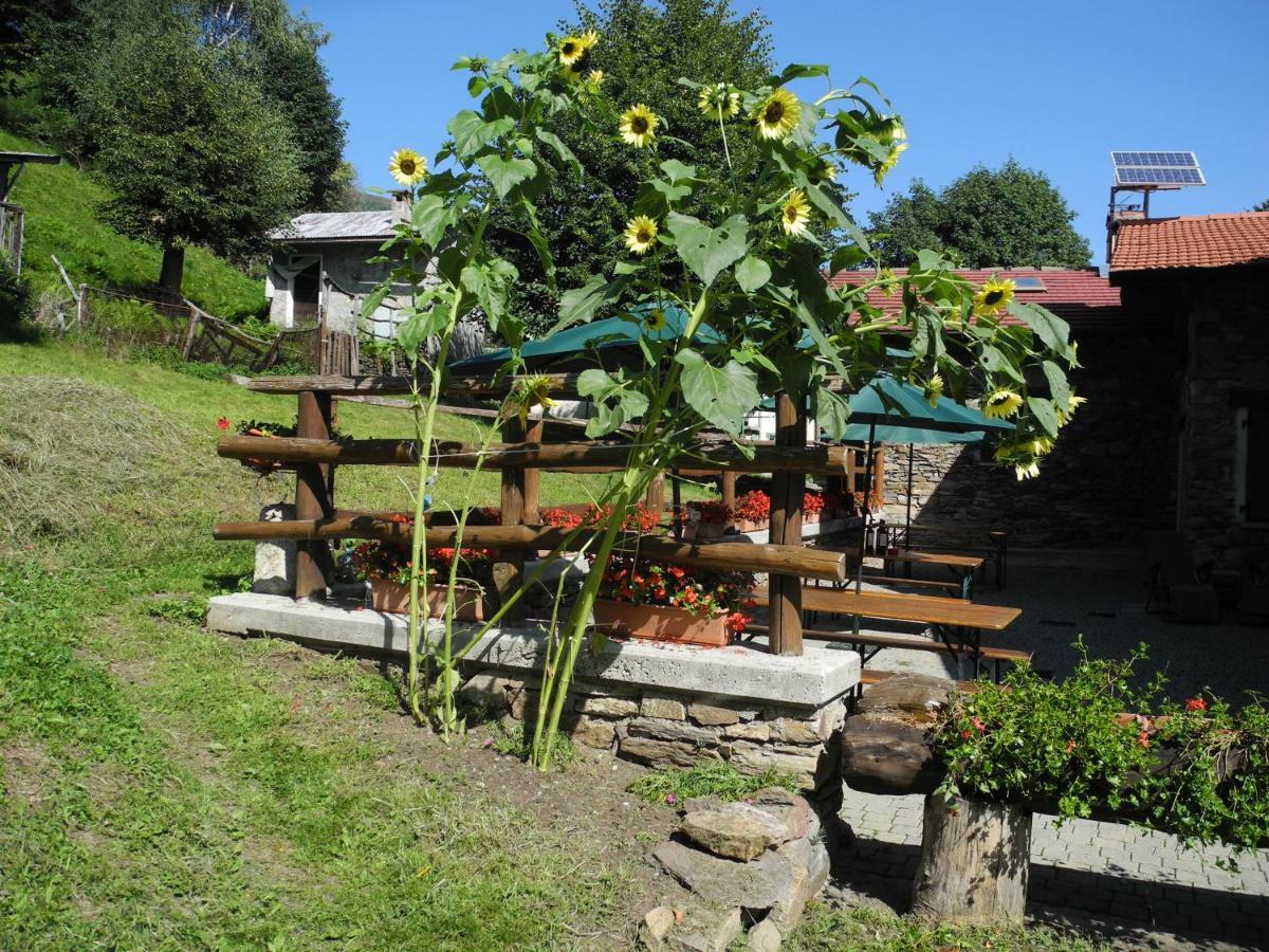 Agriturismo Piccolo Paradiso Pianello Del Lario Luaran gambar